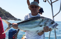 sayulita amber jack